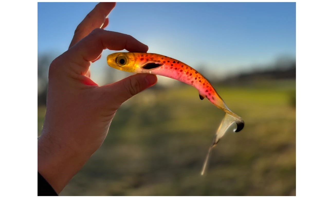 EJ Lures Flatnose Shad 19cm 50gr Blood Moon 2 EJ Lures Flatnose Shad 19cm 50gr Blood Moon - Afbeelding 2