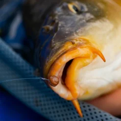 Fjuka Natural 2in1 200gram 7 Fjuka Natural 2in1 200gram -Goedkope Vissen Paradijs Winkel 173e3a2163a6a35f