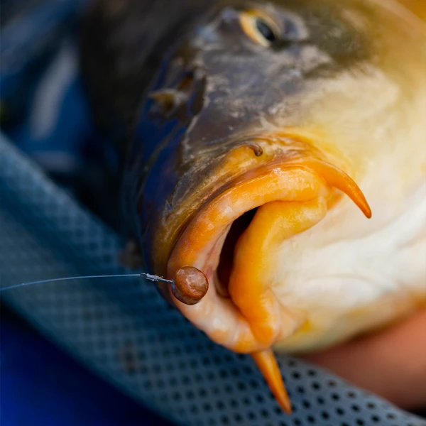 Fjuka Natural 2in1 200gram 3 Fjuka Natural 2in1 200gram - Afbeelding 3