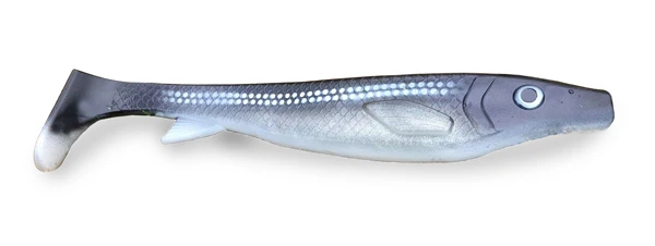 Fatnose Shad 23cm - Coregonus 1 Fatnose Shad 23cm - Coregonus