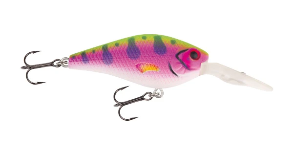 Jackson Barschwobbler Rainbow Trout 6cm (9g) 1 Jackson Barschwobbler Rainbow Trout 6cm (9g)