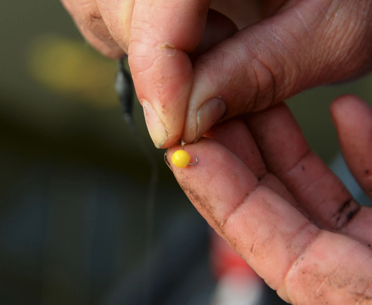Cresta Spaghetti Balls Blood Red 1 Cresta Spaghetti Balls Blood Red