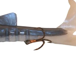 Musky Innovations Regular Double Dawgs Cisco