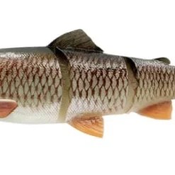 Savage Gear 4D Line Thru Trout Bream 30cm