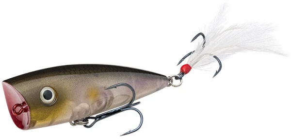 Strike King KVD Splash Clearwater Minnow 1 Strike King KVD Splash Clearwater Minnow