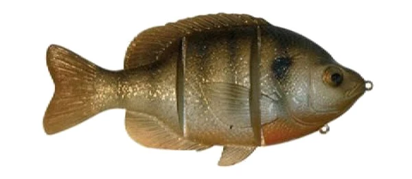 Castaic Platinum Series Rainbow FS 8" 2 Castaic Platinum Series Rainbow FS 8" - Afbeelding 2