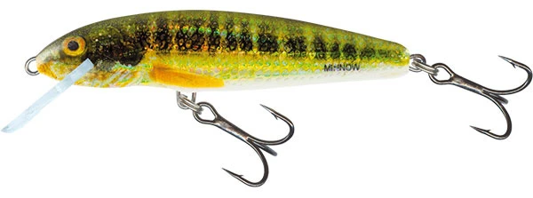 Salmo Minnow Floating 'Holo Real Minnow' 6cm (4g) 2 Salmo Minnow Floating 'Holo Real Minnow' 6cm (4g) - Afbeelding 2