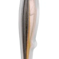 Spro Iris Popeye Shad Baitfish (23cm) -Goedkope Vissen Paradijs Winkel 516ee3e0c4a370c9 scaled