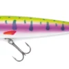 Jackson Minnow Pop Rainbow Trout