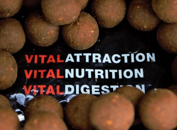 Vital Baits Boilies The Kraken 24mm (5kg) 2 Vital Baits Boilies The Kraken 24mm (5kg) - Afbeelding 2