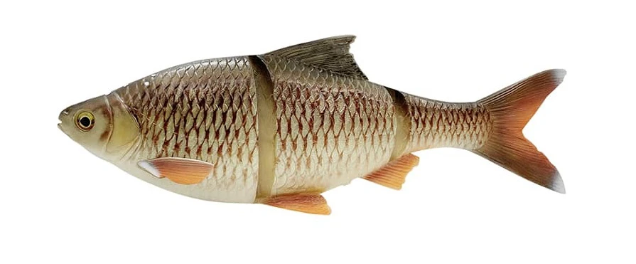 Savage Gear 4D Linethru Roach Bream 25cm, 216gr, Sinking 1 Savage Gear 4D Linethru Roach Bream 25cm, 216gr, Sinking