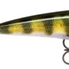 Rapala X-Rap 8cm Live Perch