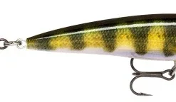 Rapala X-Rap 8cm Live Perch