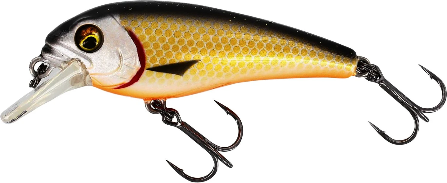 Westin BullyBite Crankbait 6cm Official Roach 1 Westin BullyBite Crankbait 6cm Official Roach