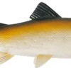 Uni Cat Trout 15cm BT