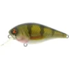 River2Sea Biggie 57 BR Crankbait Real Perch