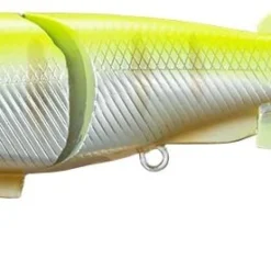 Shimano Bantam BT Force Chart Gill