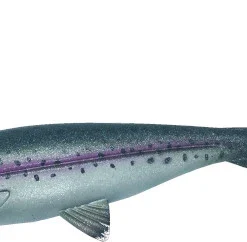 Jackson The Active Flanker Real Trout 20cm