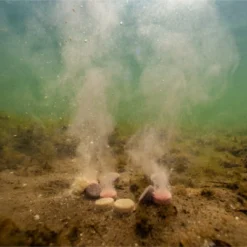 Ultimate Baits Up & Down Tablets 300gr.20mm. Sweet/Fruit