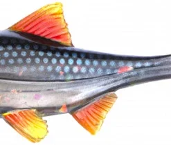 Hooligan Roach JR 15cm 45gr - 1 Pack Original Gangster