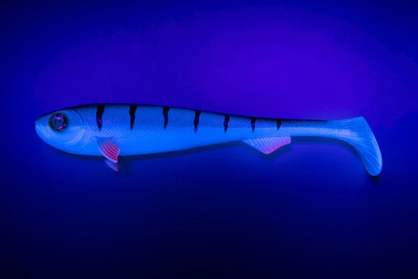 Fox Rage Super Slick Shad 18cm/7" UV Young Perch (2pcs) 1 Fox Rage Super Slick Shad 18cm/7" UV Young Perch (2pcs)