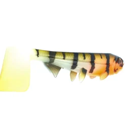 Hostagevalley Shad 14cm (25g) Red Head Perch 7 Hostagevalley Shad 14cm (25g) Red Head Perch -Goedkope Vissen Paradijs Winkel cf8d8ccbb8572d8d
