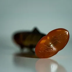 Hostagevalley Troubletail 14cm (30g) Transparent Trout