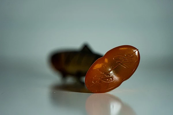 Hostagevalley Troubletail 14cm (30g) Transparent Trout 1 Hostagevalley Troubletail 14cm (30g) Transparent Trout