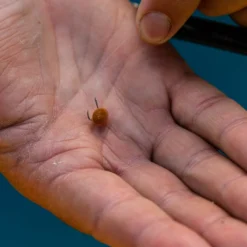 Fjuka Natural 2in1 200gram 9 Fjuka Natural 2in1 200gram -Goedkope Vissen Paradijs Winkel d63055fda4442628