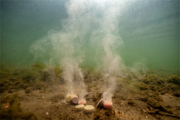 Winter Carp Bait Pack 1 Winter Carp Bait Pack