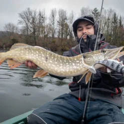 Fox Rage Replicant 18cm 7" Wobble 90g UV Bright Perch 6 Fox Rage Replicant 18cm 7" Wobble 90g UV Bright Perch -Goedkope Vissen Paradijs Winkel ff1fcafca8f2c5f2